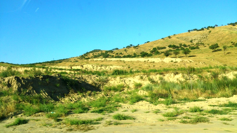 Песчанный холм