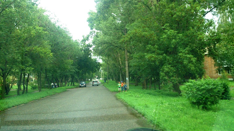 Зеленая дорога