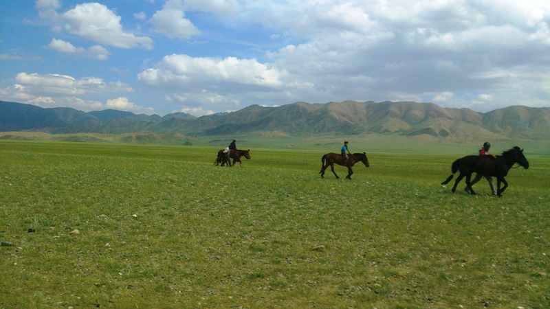 Монголы, кони, горы