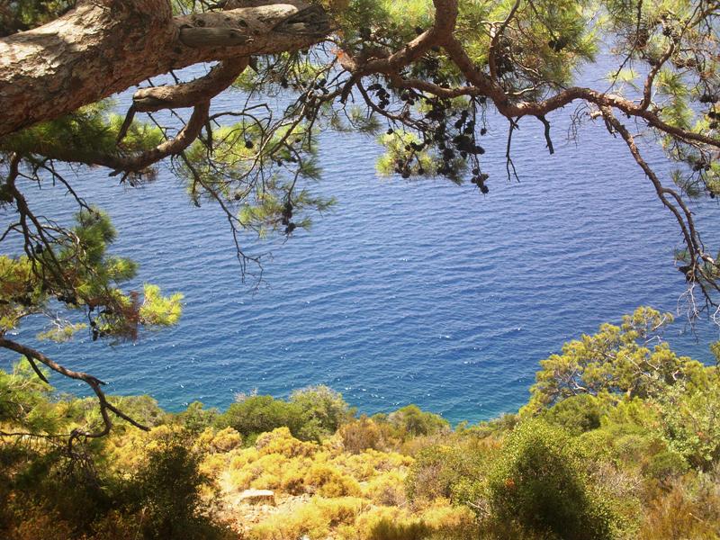 Природа Средиземноморья