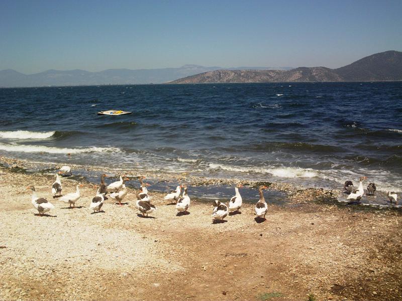 Турецкое озеро