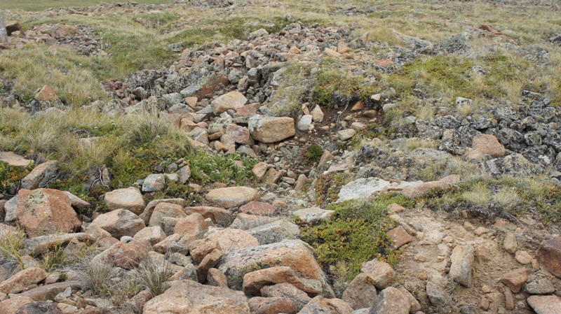 Камни на плато Укок