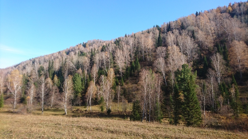 Осенние картины на Алтае
