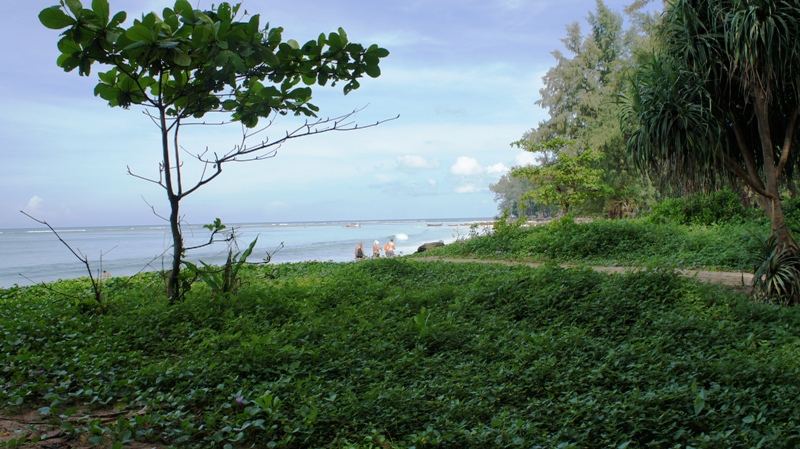 Пляж Наянг