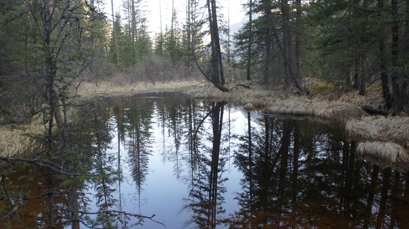 Озерцо возле турбазы