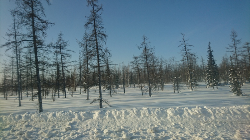 Сибирские дороги